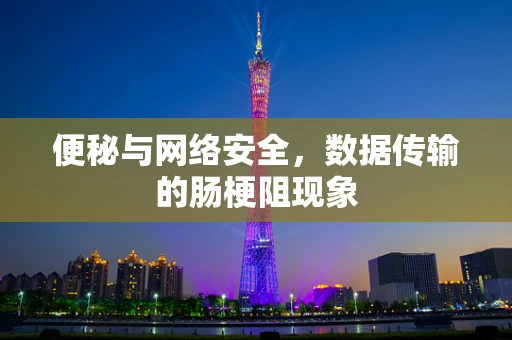 便秘与网络安全，数据传输的肠梗阻现象