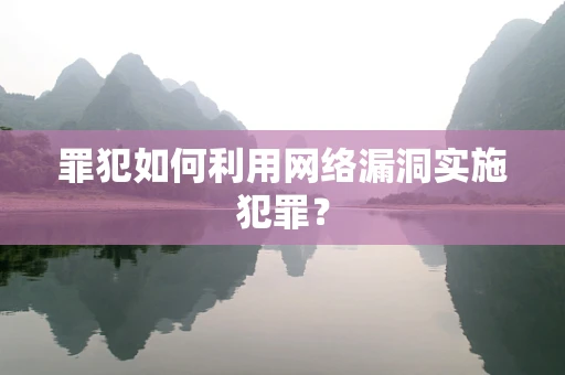 罪犯如何利用网络漏洞实施犯罪？