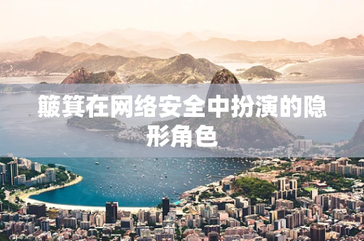 簸箕在网络安全中扮演的隐形角色
