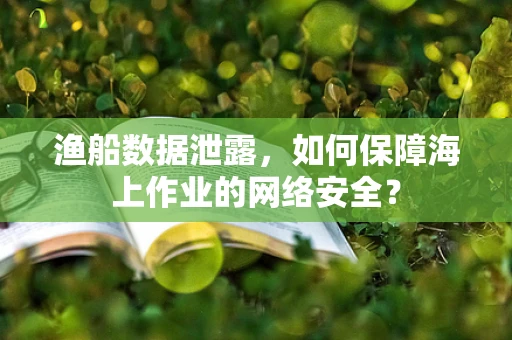 渔船数据泄露，如何保障海上作业的网络安全？