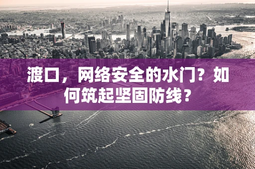 渡口，网络安全的水门？如何筑起坚固防线？