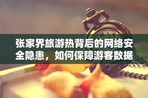 张家界旅游热背后的网络安全隐患，如何保障游客数据安全？