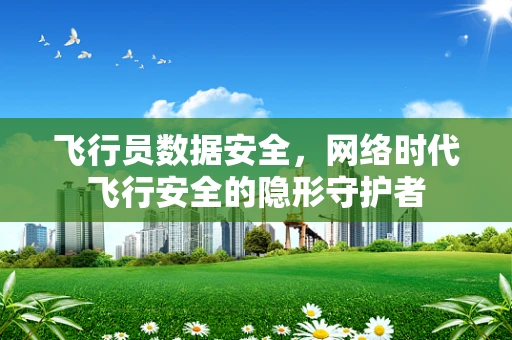 飞行员数据安全，网络时代飞行安全的隐形守护者