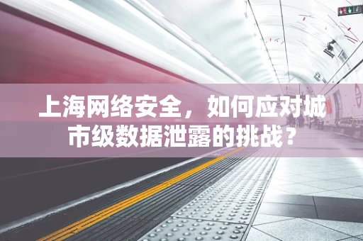 上海网络安全，如何应对城市级数据泄露的挑战？