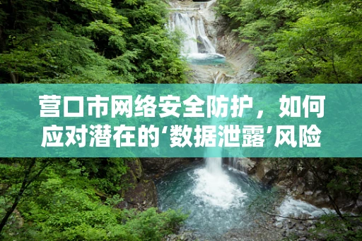 营口市网络安全防护，如何应对潜在的‘数据泄露’风险？