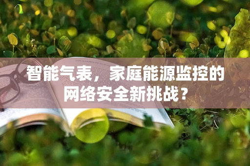 智能气表，家庭能源监控的网络安全新挑战？