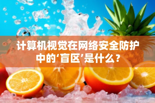 计算机视觉在网络安全防护中的‘盲区’是什么？
