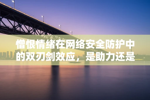 憎恨情绪在网络安全防护中的双刃剑效应，是助力还是阻力？