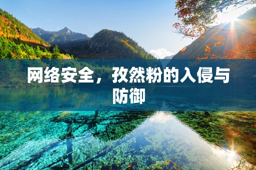 网络安全，孜然粉的入侵与防御