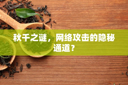 秋千之谜，网络攻击的隐秘通道？