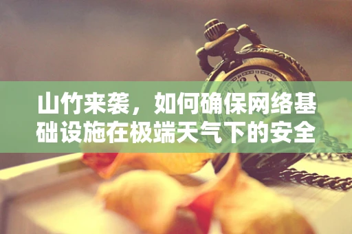 山竹来袭，如何确保网络基础设施在极端天气下的安全稳定？