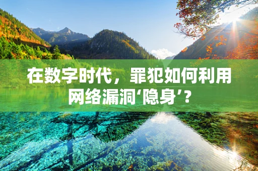 在数字时代，罪犯如何利用网络漏洞‘隐身’？