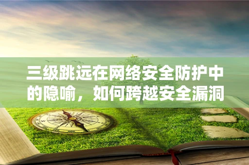 三级跳远在网络安全防护中的隐喻，如何跨越安全漏洞的‘三步跳’？
