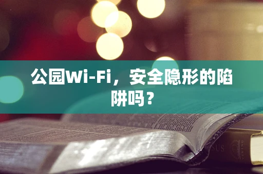 公园Wi-Fi，安全隐形的陷阱吗？