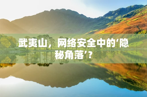 武夷山，网络安全中的‘隐秘角落’？