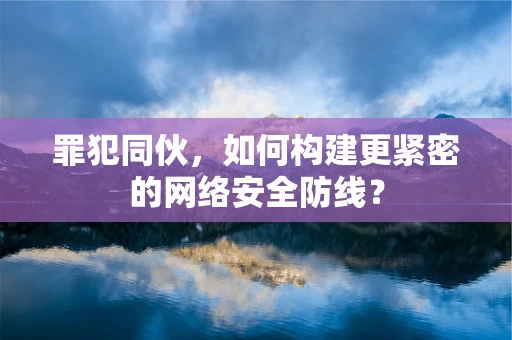 罪犯同伙，如何构建更紧密的网络安全防线？