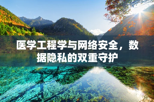 医学工程学与网络安全，数据隐私的双重守护