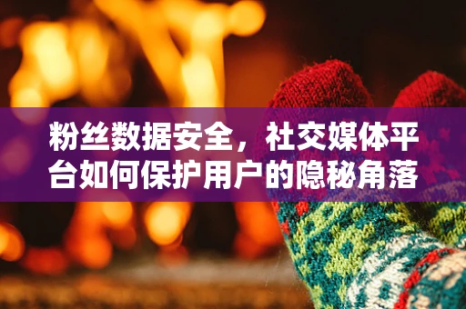 粉丝数据安全，社交媒体平台如何保护用户的隐秘角落？