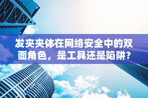 发夹夹体在网络安全中的双面角色，是工具还是陷阱？