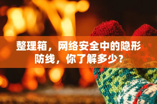 整理箱，网络安全中的隐形防线，你了解多少？