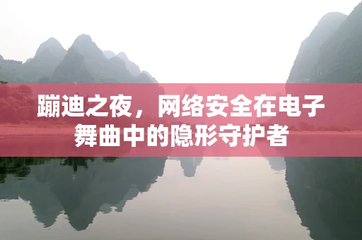 蹦迪之夜，网络安全在电子舞曲中的隐形守护者