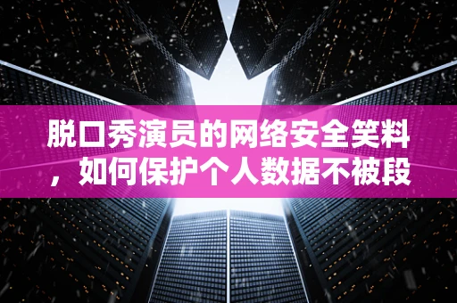 脱口秀演员的网络安全笑料，如何保护个人数据不被段子化？