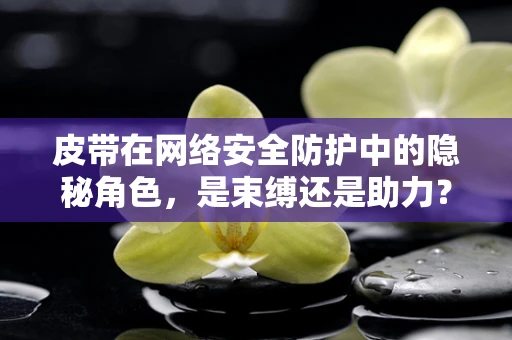 皮带在网络安全防护中的隐秘角色，是束缚还是助力？