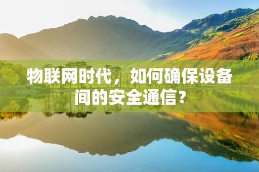物联网时代，如何确保设备间的安全通信？