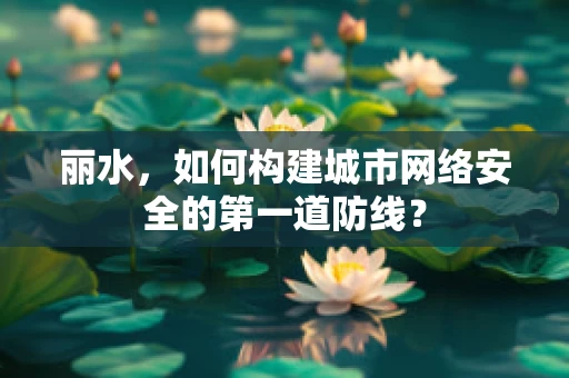 丽水，如何构建城市网络安全的第一道防线？