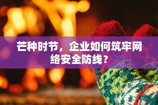 芒种时节，企业如何筑牢网络安全防线？