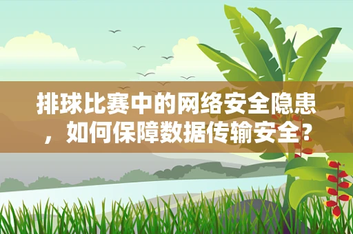 排球比赛中的网络安全隐患，如何保障数据传输安全？