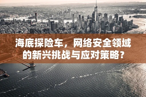 海底探险车，网络安全领域的新兴挑战与应对策略？