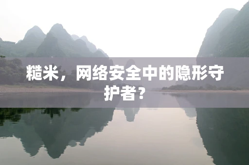 糙米，网络安全中的隐形守护者？