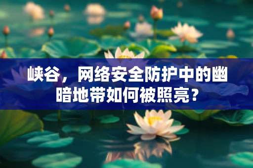 峡谷，网络安全防护中的幽暗地带如何被照亮？