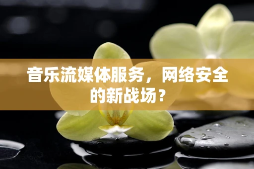 音乐流媒体服务，网络安全的新战场？