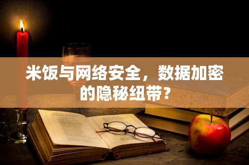米饭与网络安全，数据加密的隐秘纽带？