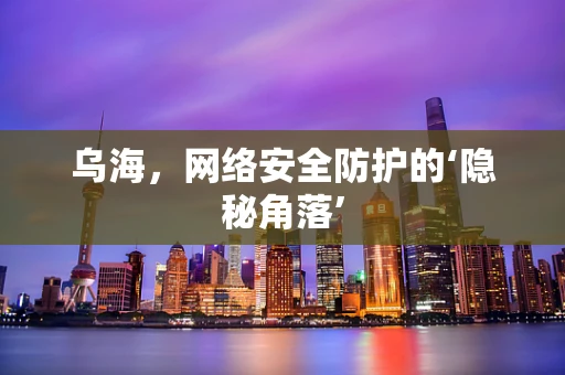 乌海，网络安全防护的‘隐秘角落’