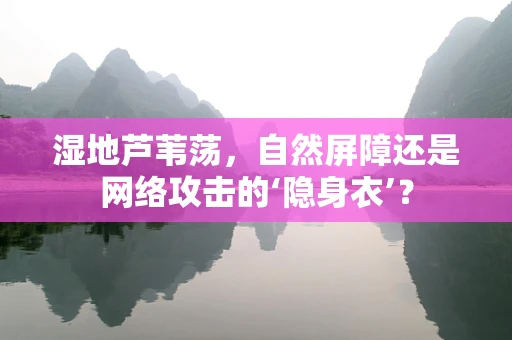 湿地芦苇荡，自然屏障还是网络攻击的‘隐身衣’？