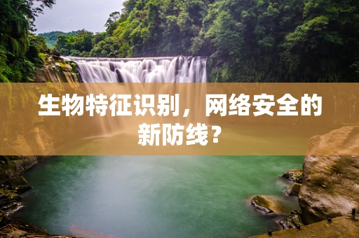 生物特征识别，网络安全的新防线？