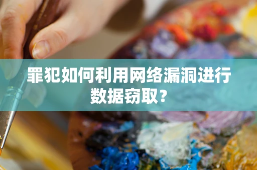 罪犯如何利用网络漏洞进行数据窃取？
