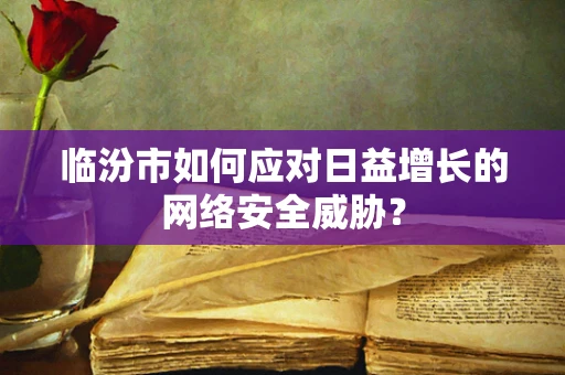 临汾市如何应对日益增长的网络安全威胁？