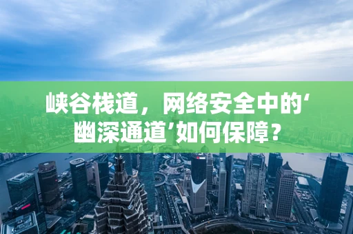 峡谷栈道，网络安全中的‘幽深通道’如何保障？