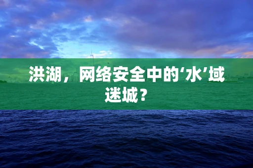 洪湖，网络安全中的‘水’域迷城？