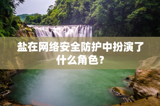 盐在网络安全防护中扮演了什么角色？