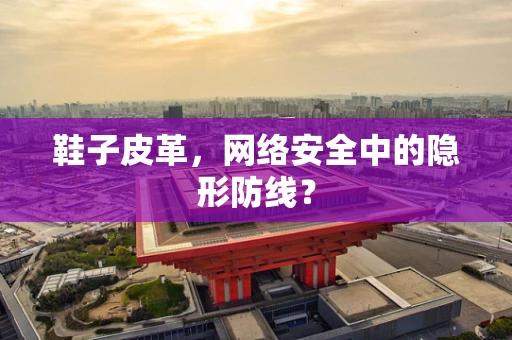 鞋子皮革，网络安全中的隐形防线？