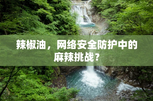 辣椒油，网络安全防护中的麻辣挑战？