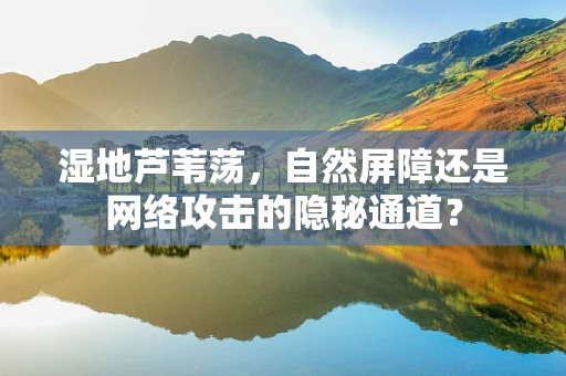 湿地芦苇荡，自然屏障还是网络攻击的隐秘通道？