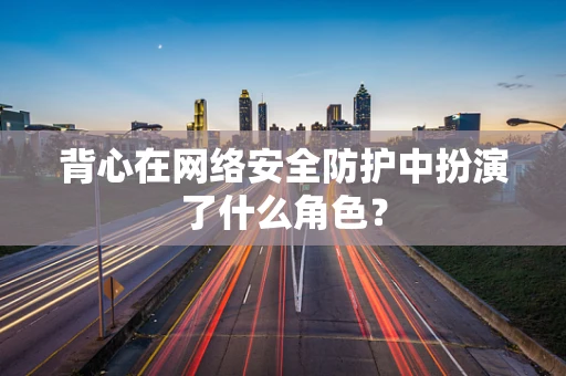 背心在网络安全防护中扮演了什么角色？