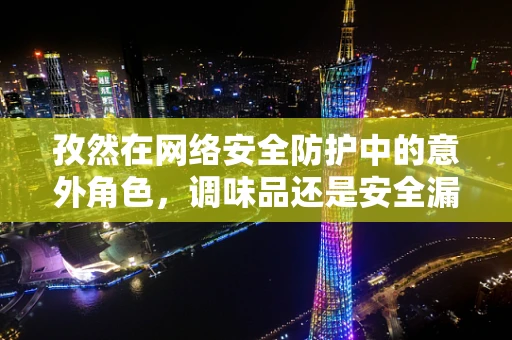 孜然在网络安全防护中的意外角色，调味品还是安全漏洞的隐喻？