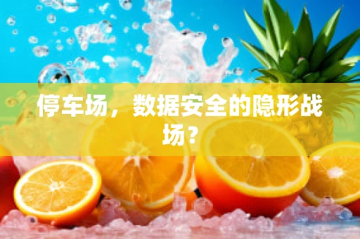 停车场，数据安全的隐形战场？